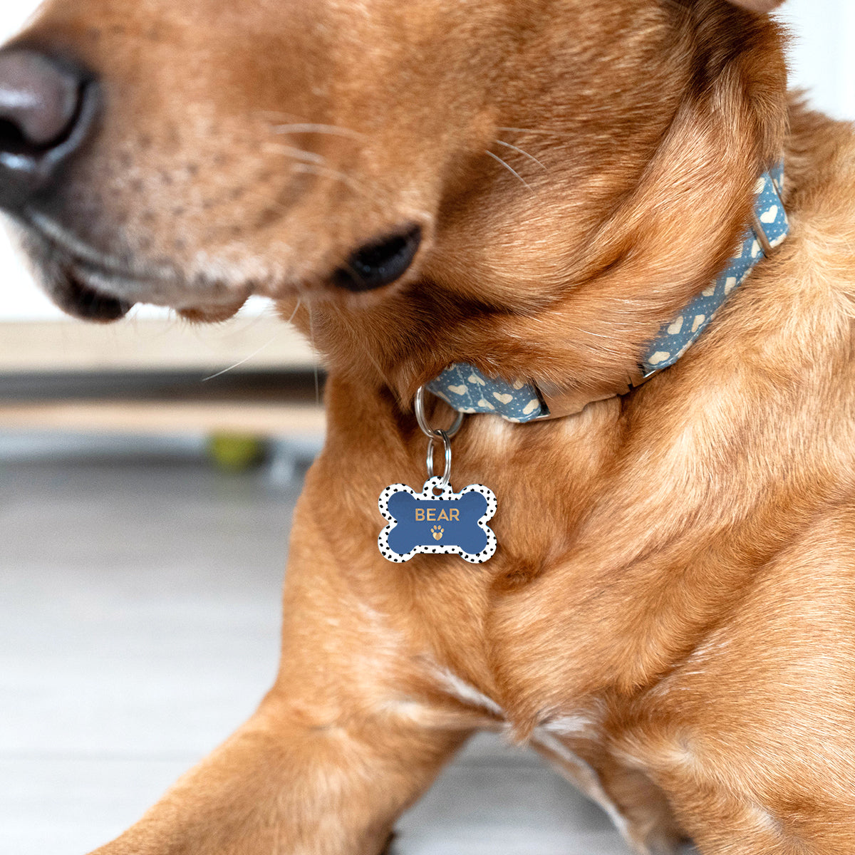 Dog name collar tags sale