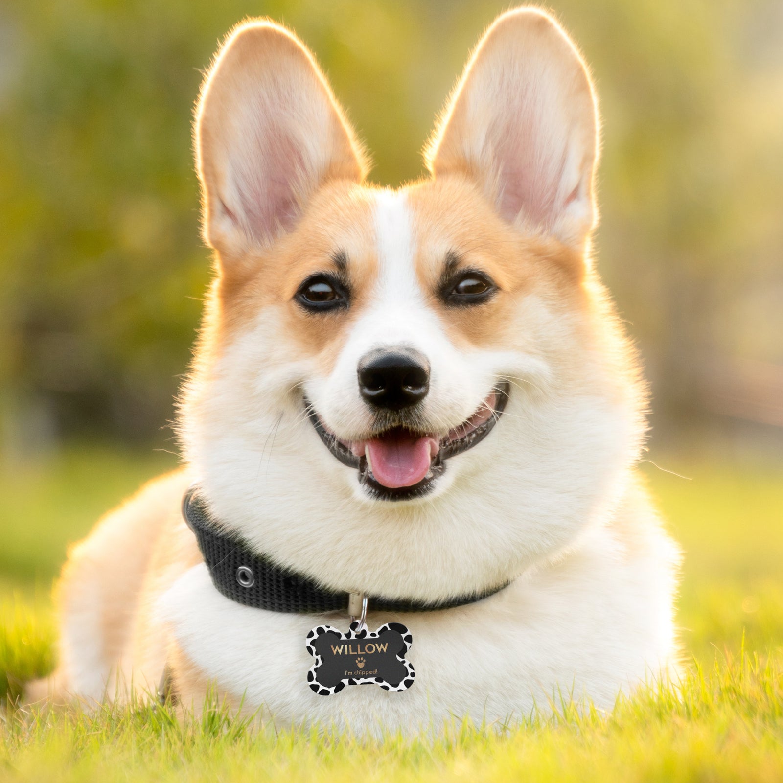 Printable dog bone name tags clearance