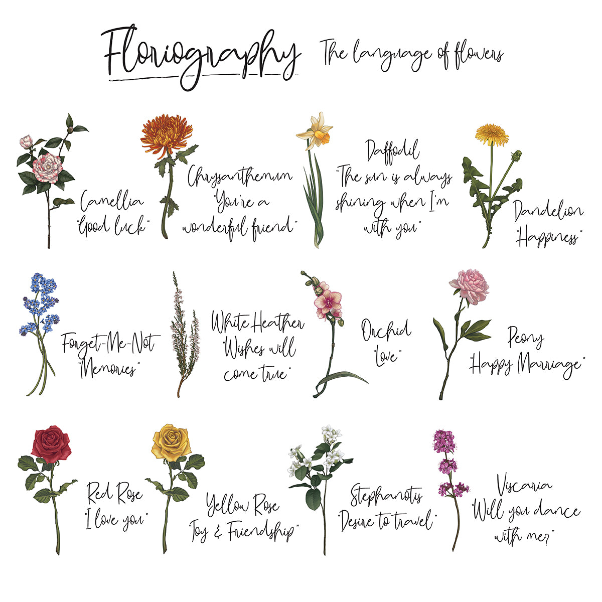 Floriography on sale