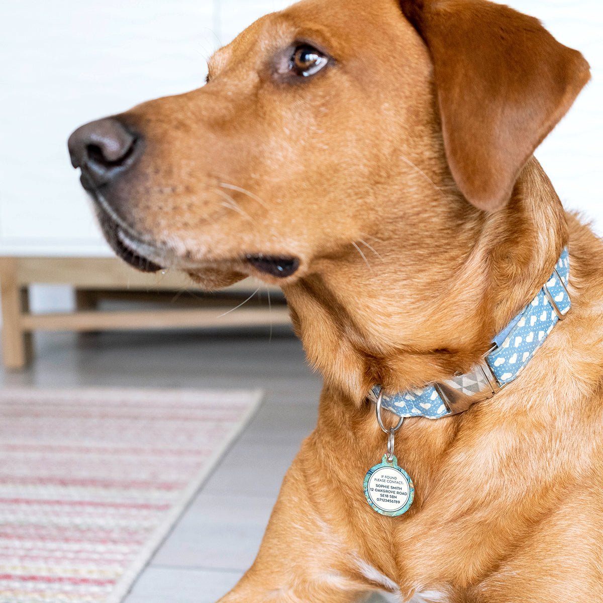 Personalised Marble Pet Name ID Tag The Little Picture Company