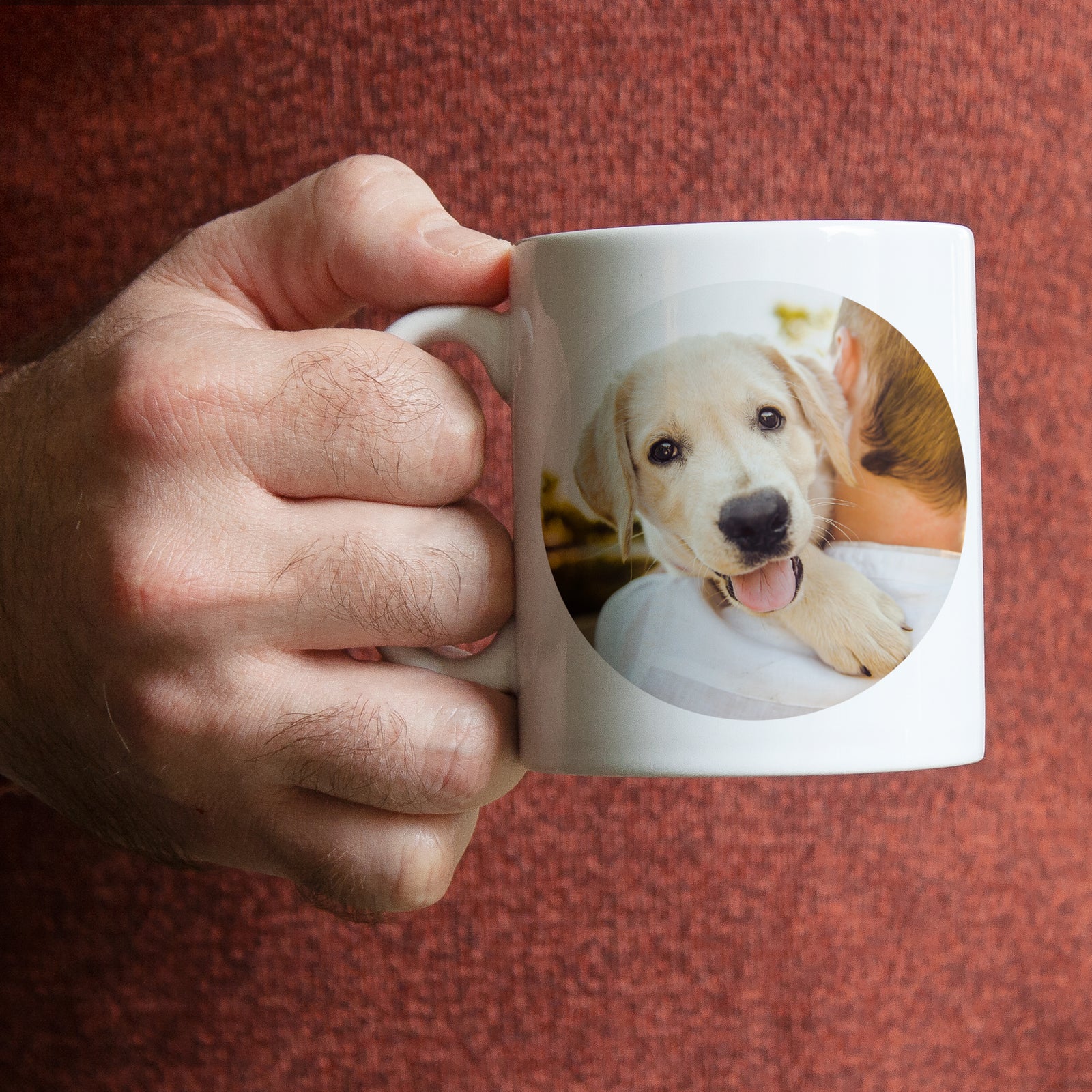 Personalised Pet Photo Mug The Little Picture Company
